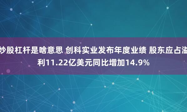 炒股杠杆是啥意思 创科实业发布年度业绩 股东应占溢利11.22亿美元同比增加14.9%