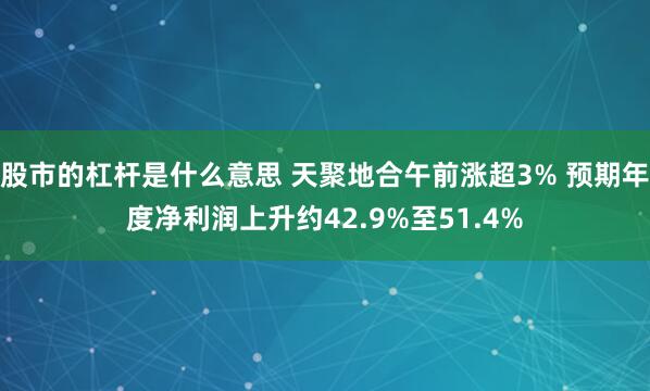 股市的杠杆是什么意思 天聚地合午前涨超3% 预期年度净利润上升约42.9%至51.4%