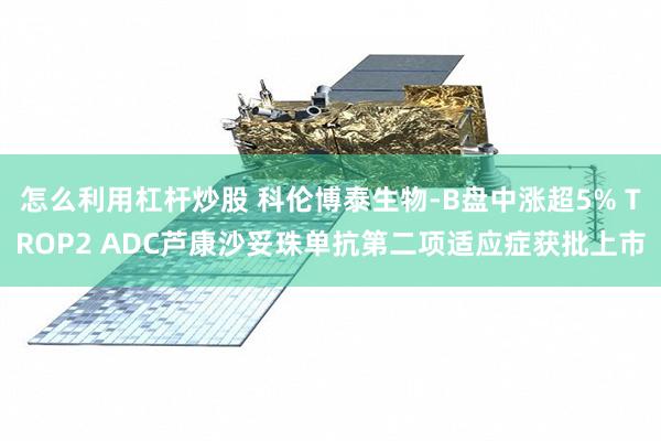怎么利用杠杆炒股 科伦博泰生物-B盘中涨超5% TROP2 ADC芦康沙妥珠单抗第二项适应症获批上市