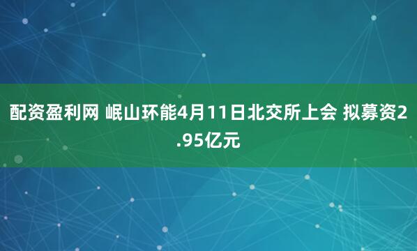 配资盈利网 岷山环能4月11日北交所上会 拟募资2.95亿元