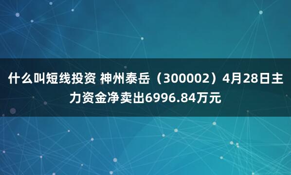 什么叫短线投资 神州泰岳（300002）4月28日主力资金净卖出6996.84万元