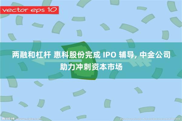 两融和杠杆 惠科股份完成 IPO 辅导, 中金公司助力冲刺资本市场