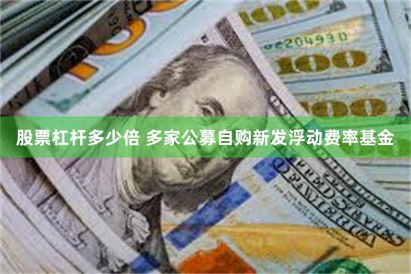 股票杠杆多少倍 多家公募自购新发浮动费率基金