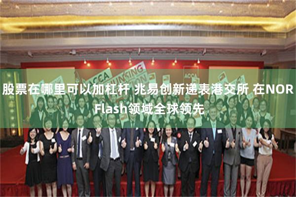 股票在哪里可以加杠杆 兆易创新递表港交所 在NOR Flash领域全球领先