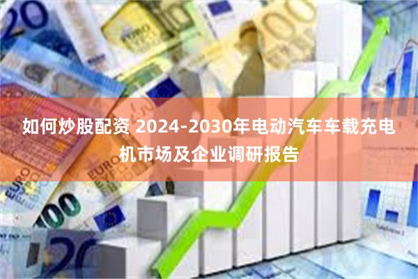 如何炒股配资 2024-2030年电动汽车车载充电机市场及企业调研报告