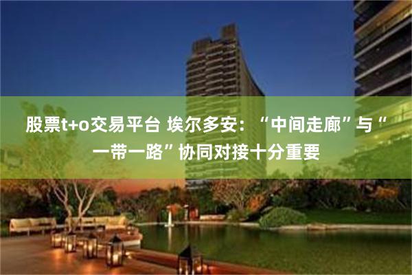 股票t+o交易平台 埃尔多安：“中间走廊”与“一带一路”协同对接十分重要