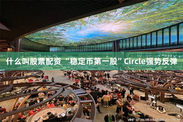 什么叫股票配资 “稳定币第一股”Circle强势反弹